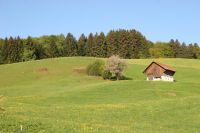 IMG_8251